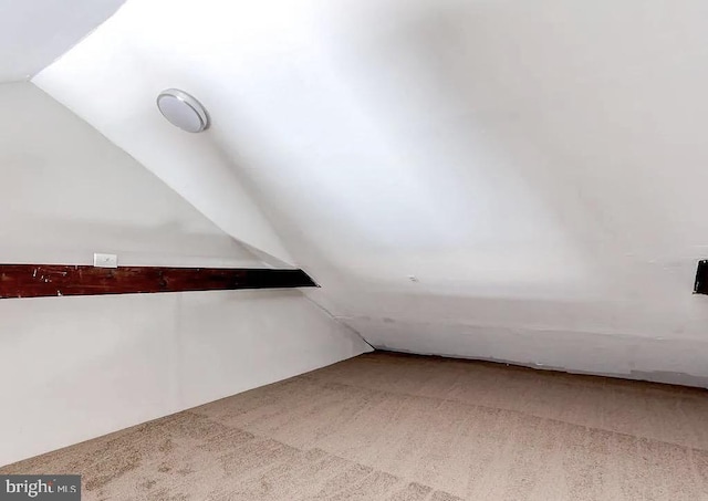 bonus room featuring carpet floors and vaulted ceiling