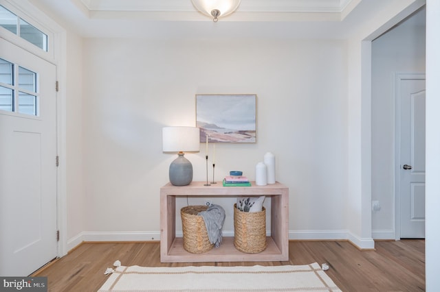 entrance foyer with a raised ceiling, wood finished floors, and baseboards