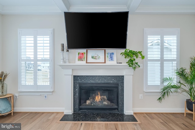 interior details with crown molding, a premium fireplace, wood finished floors, and baseboards