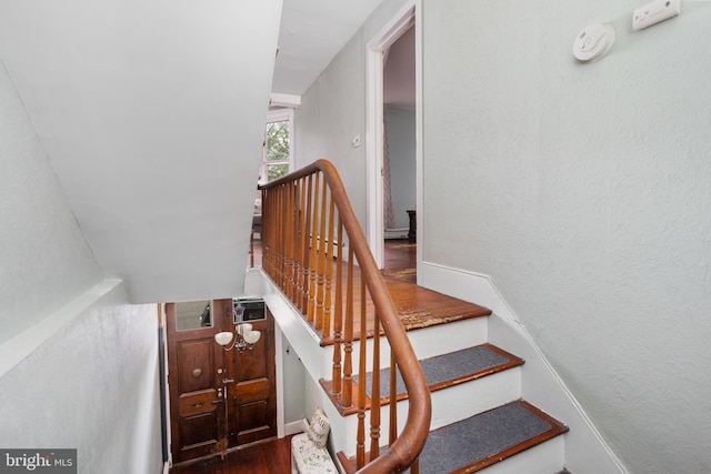 staircase with wood finished floors