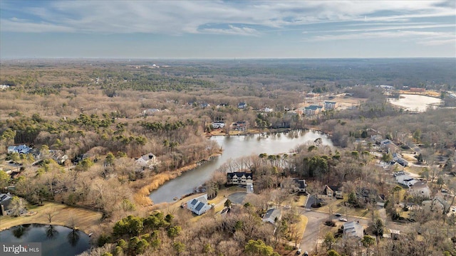 birds eye view of property featuring a water view and a wooded view