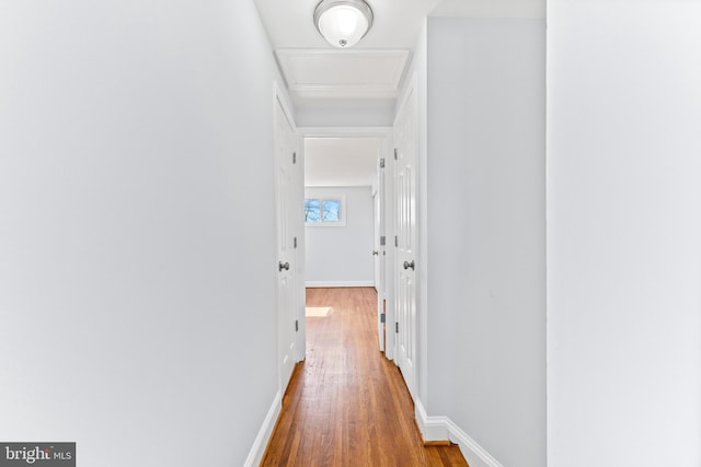 hall with baseboards and wood finished floors