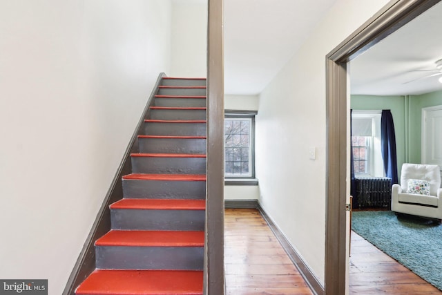 stairway featuring baseboards, a ceiling fan, and hardwood / wood-style floors