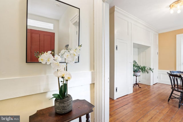 hall with wood-type flooring, crown molding, and a decorative wall