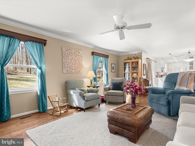 living area featuring crown molding, ceiling fan, light wood-style flooring, baseboards, and visible vents