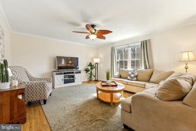 living room featuring a ceiling fan, crown molding, baseboards, and wood finished floors