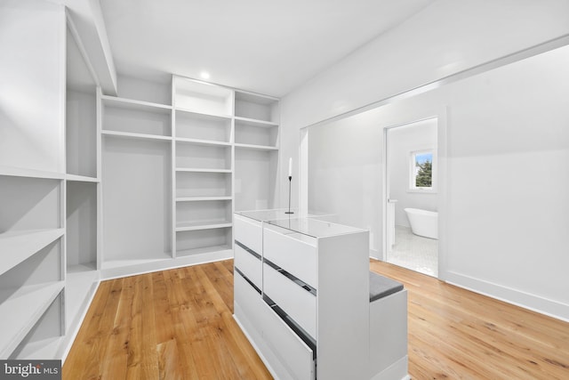 walk in closet featuring light wood finished floors