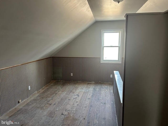 additional living space with lofted ceiling and wood-type flooring