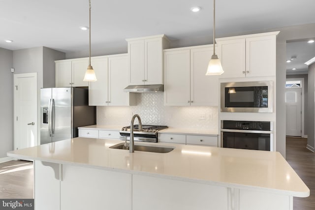 kitchen featuring under cabinet range hood, wood finished floors, a sink, appliances with stainless steel finishes, and tasteful backsplash