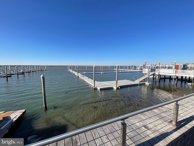 dock area with a water view