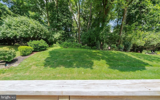 view of yard featuring a deck