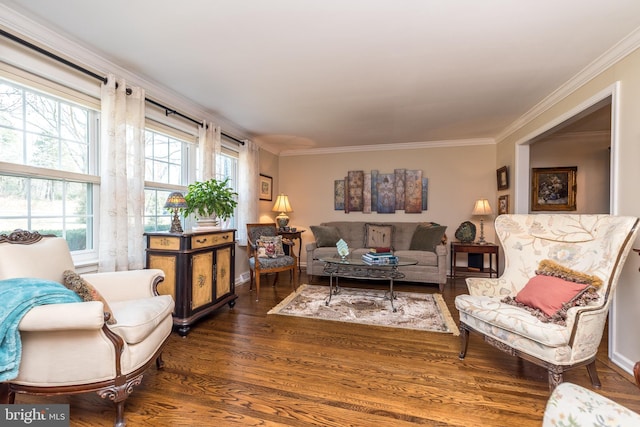 living area featuring ornamental molding and wood finished floors