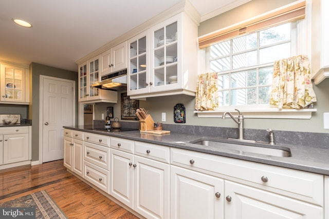 kitchen featuring black electric stovetop, under cabinet range hood, wood finished floors, a sink, and white cabinetry