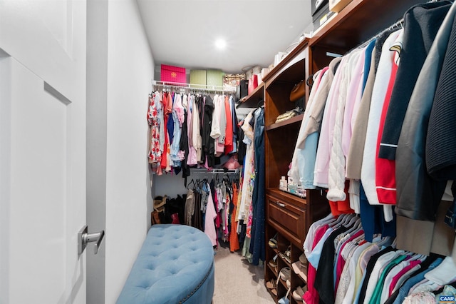 spacious closet featuring light colored carpet