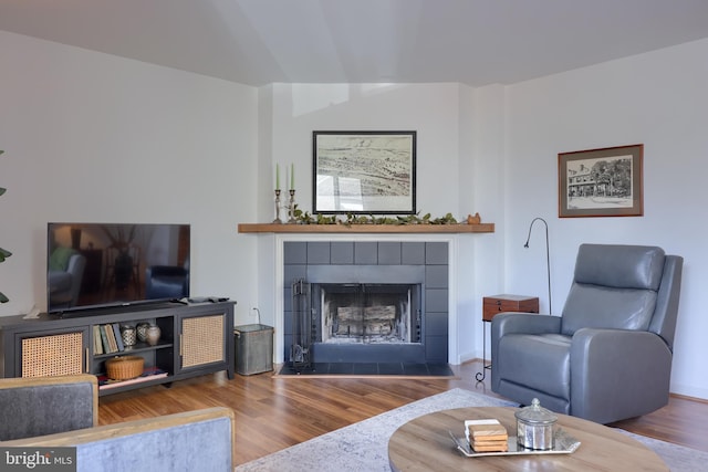 living area featuring a fireplace and wood finished floors