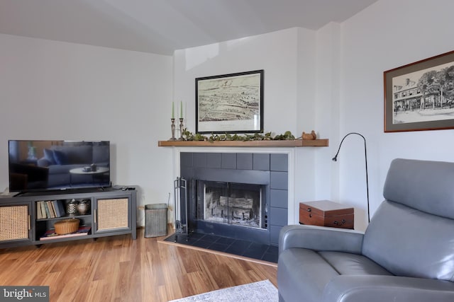 living area featuring a fireplace and wood finished floors