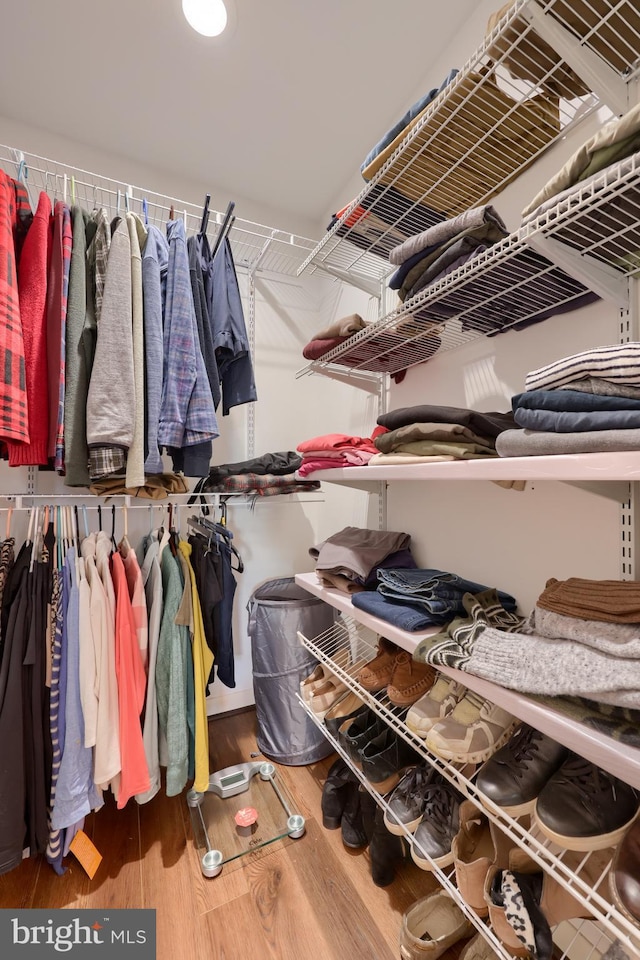 walk in closet featuring wood finished floors