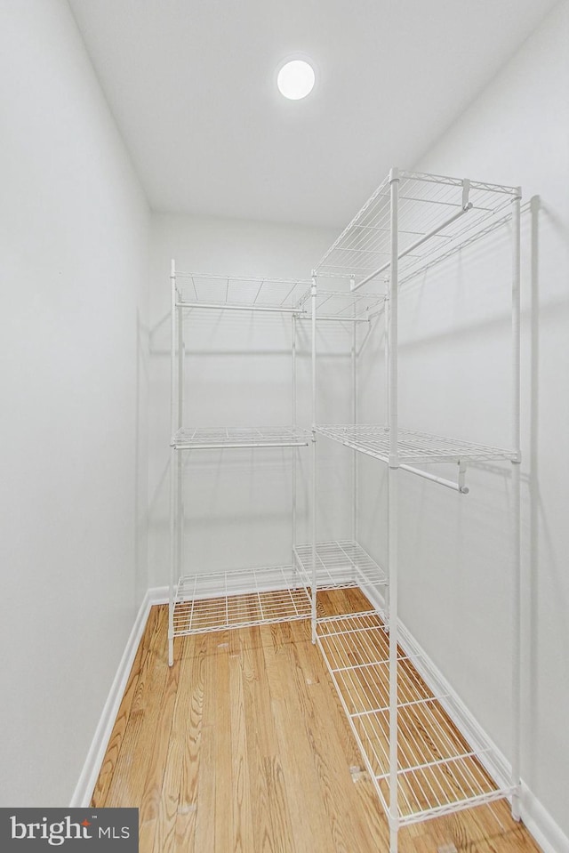 spacious closet featuring wood finished floors