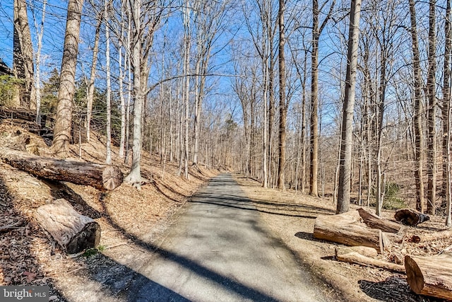 view of road featuring a view of trees