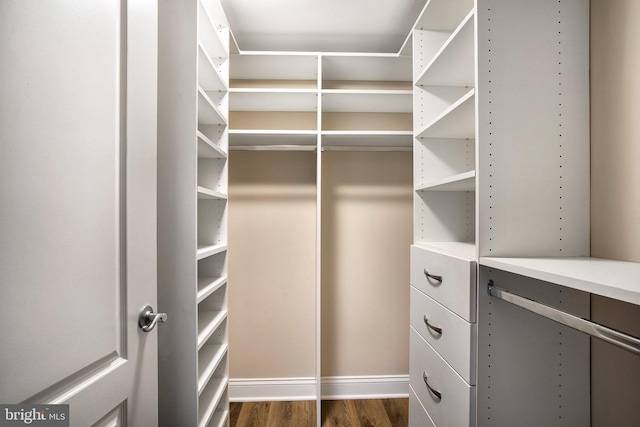 spacious closet featuring dark wood-style floors