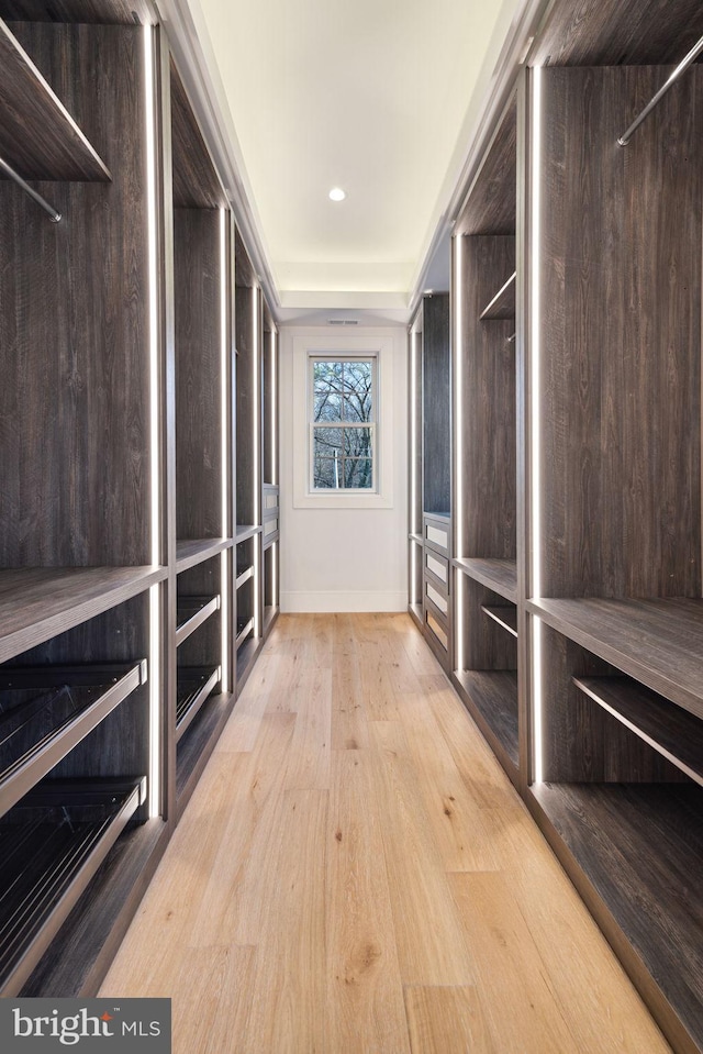 walk in closet featuring light wood-type flooring