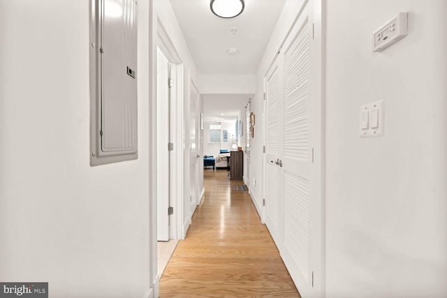 hall featuring light wood finished floors and electric panel