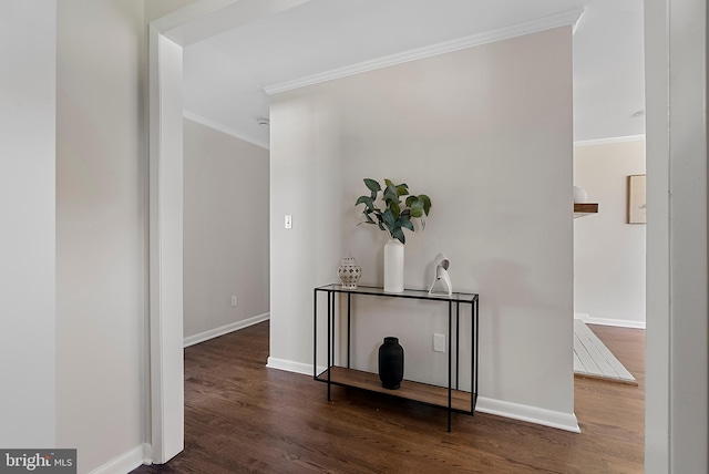 corridor with baseboards, ornamental molding, and dark wood-type flooring