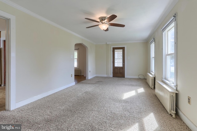 659 E Maple St, Annville, PA 17003 - spare room featuring carpet flooring, a ceiling fan, arched walkways, and plenty of natural light