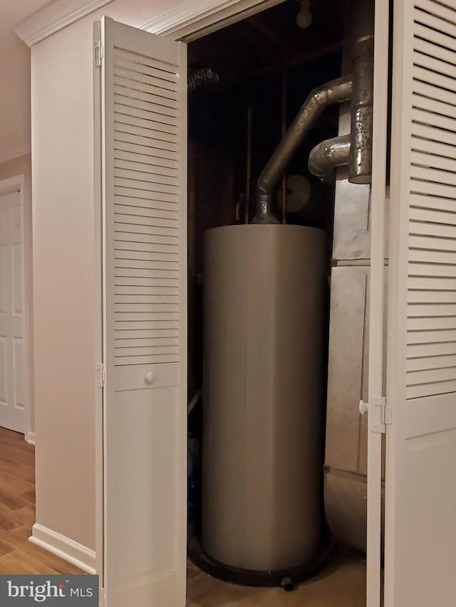 utility room with gas water heater