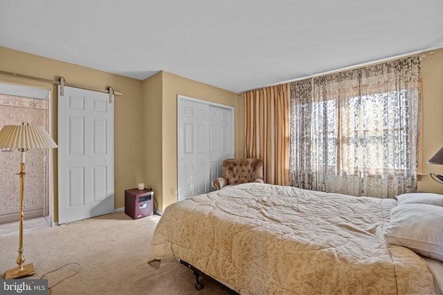 bedroom featuring carpet, a closet, and a barn door