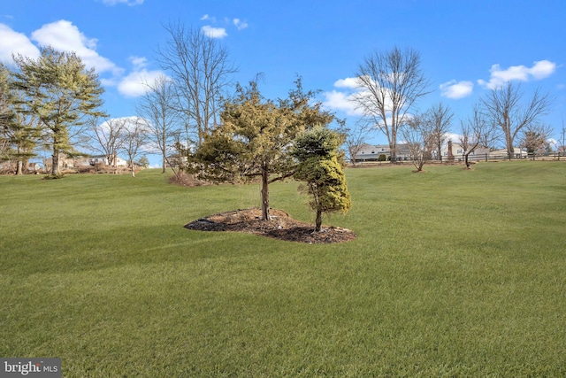 view of yard featuring a rural view