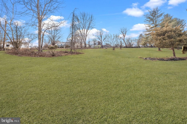 view of yard with a rural view