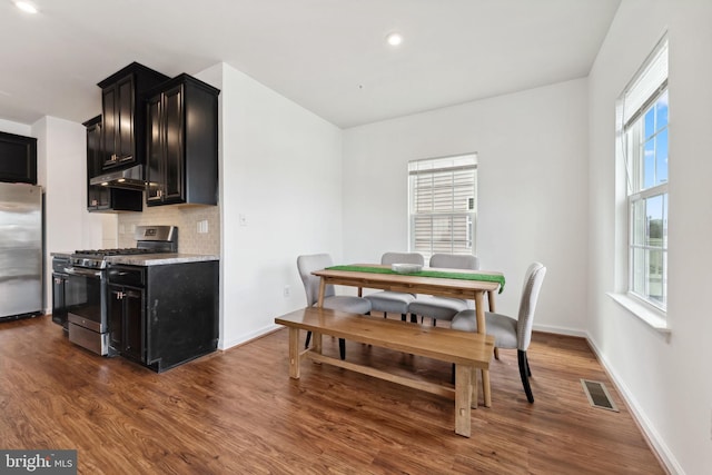 kitchen featuring dark wood finished floors, tasteful backsplash, dark cabinets, and appliances with stainless steel finishes