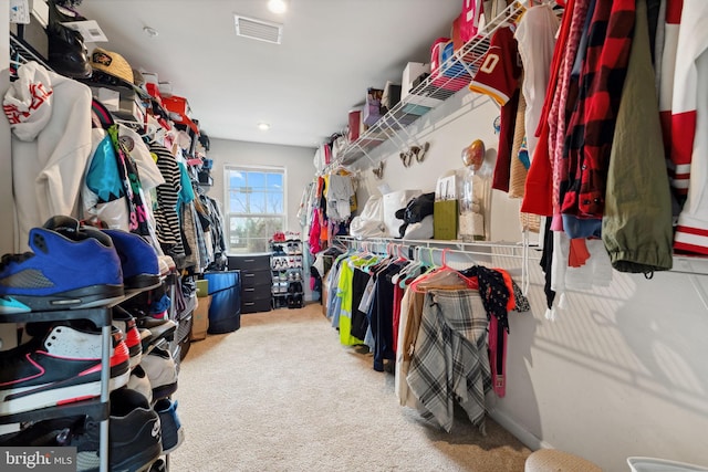 walk in closet featuring visible vents and carpet