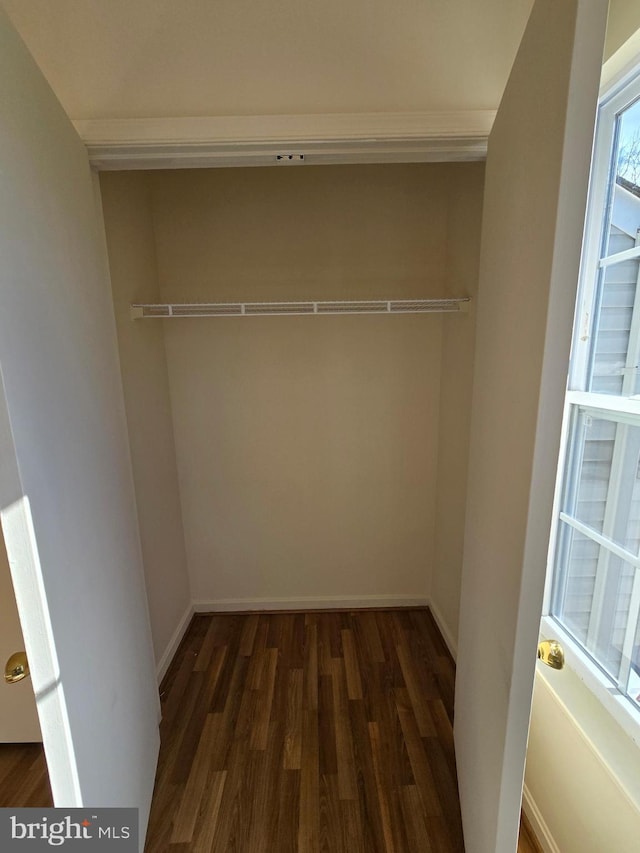 view of closet