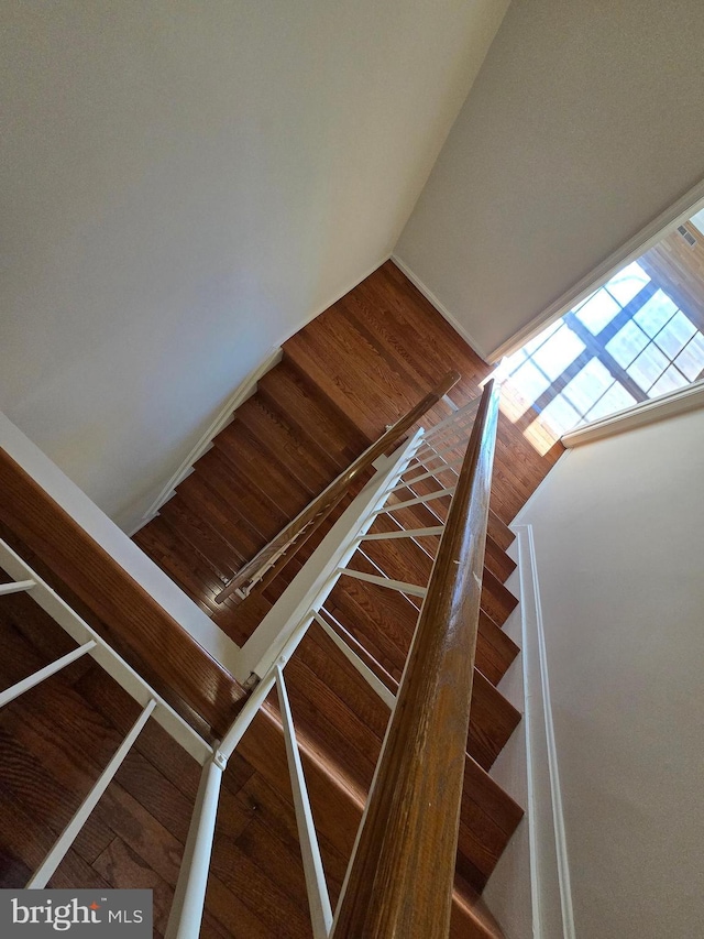 staircase with wood finished floors