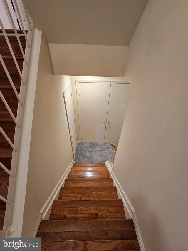 staircase featuring baseboards and hardwood / wood-style floors