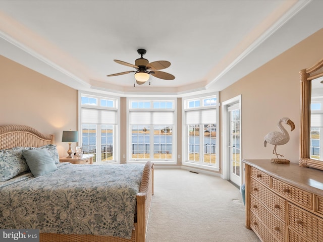 bedroom featuring access to outside, multiple windows, a raised ceiling, and light colored carpet