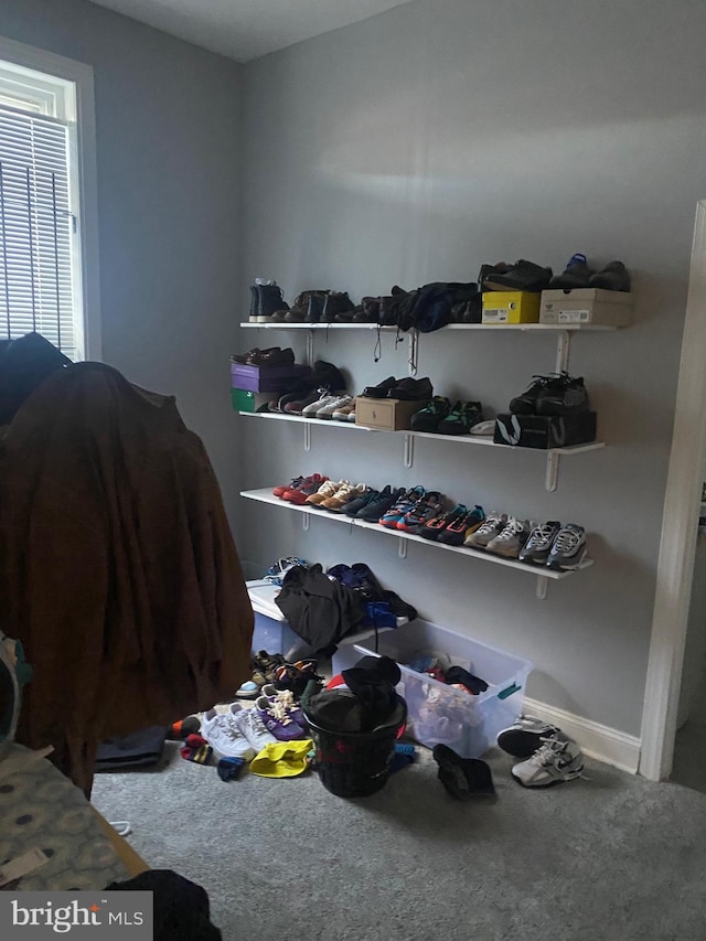 walk in closet featuring carpet floors