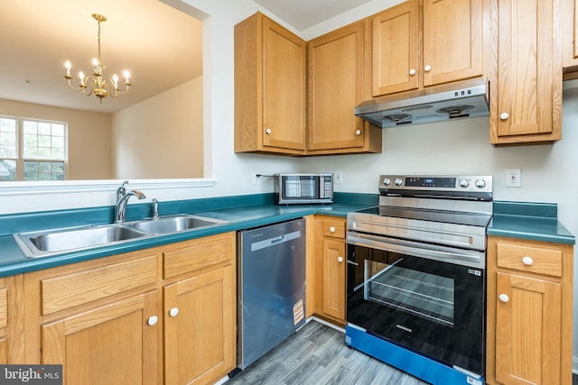 kitchen with light wood-type flooring, under cabinet range hood, decorative light fixtures, a sink, and stainless steel appliances