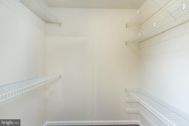 view of spacious closet