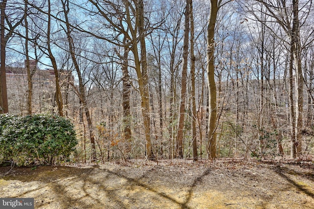 view of nature featuring a wooded view