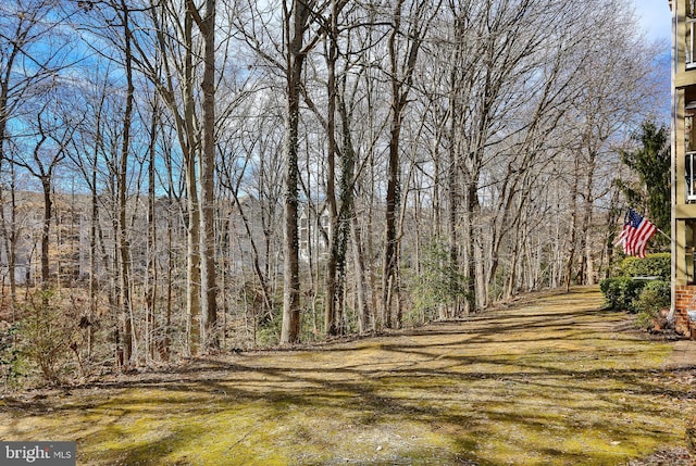 view of yard featuring a wooded view