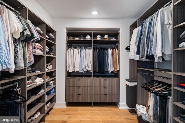 walk in closet with light wood-style flooring