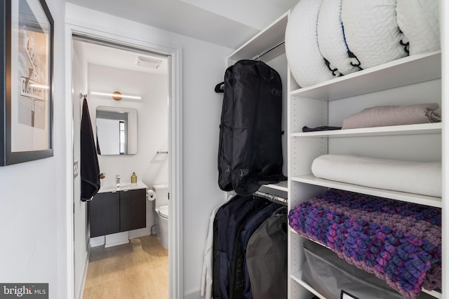 walk in closet featuring wood finished floors