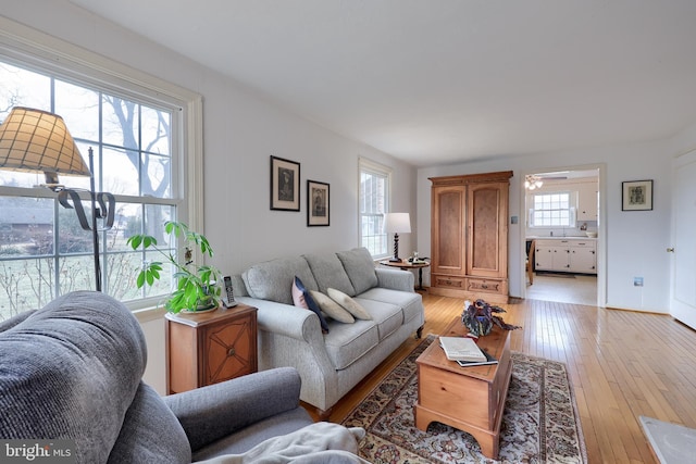 living room with light wood-type flooring and a healthy amount of sunlight