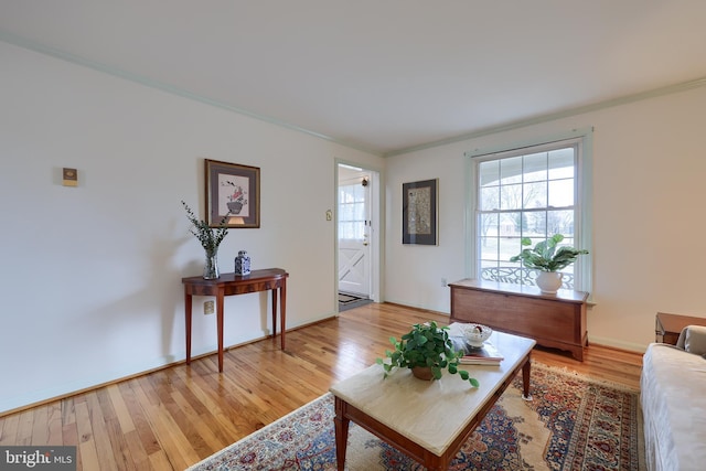 living room featuring wood finished floors