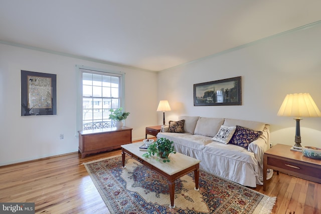 living room with wood-type flooring