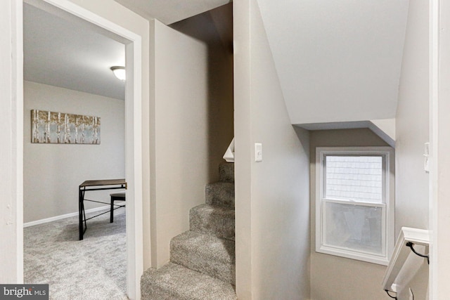 stairway featuring baseboards and carpet flooring