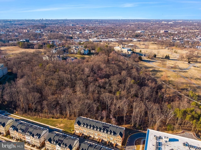 bird's eye view